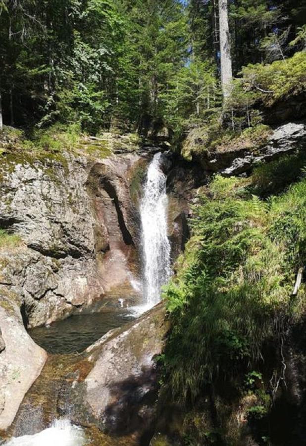 Ferienland Sonnenwald Fewo 46 Und Studio 50 In Schoefweg Bayerischer Wald Buitenkant foto
