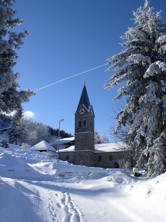 Ferienland Sonnenwald Fewo 46 Und Studio 50 In Schoefweg Bayerischer Wald Buitenkant foto