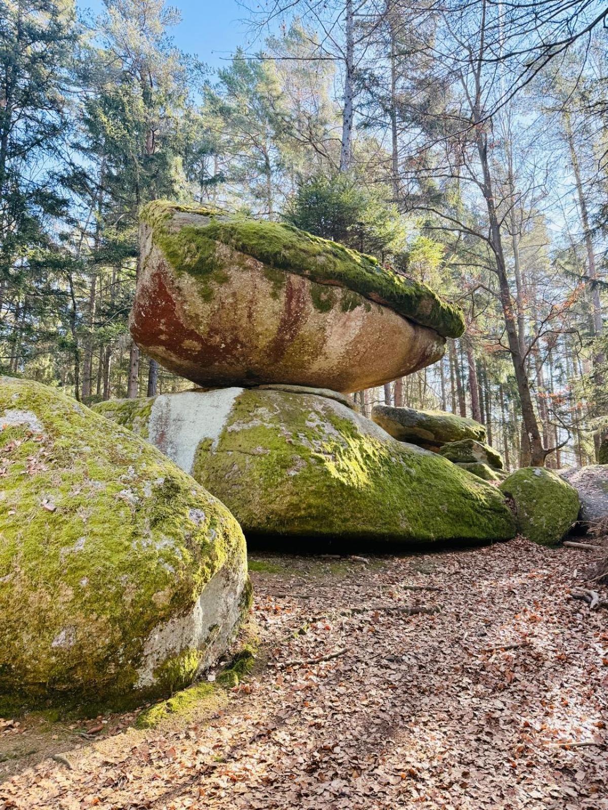 Ferienland Sonnenwald Fewo 46 Und Studio 50 In Schoefweg Bayerischer Wald Buitenkant foto