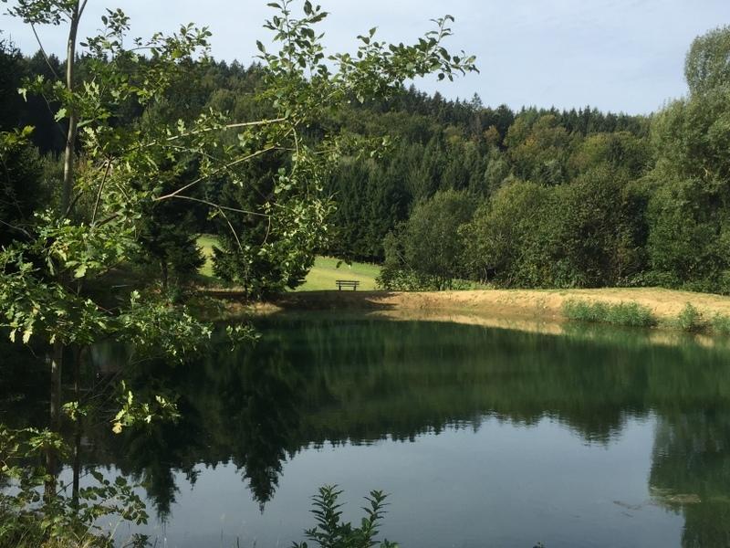 Ferienland Sonnenwald Fewo 46 Und Studio 50 In Schoefweg Bayerischer Wald Buitenkant foto
