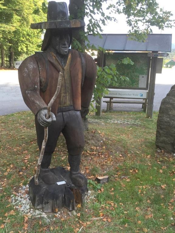 Ferienland Sonnenwald Fewo 46 Und Studio 50 In Schoefweg Bayerischer Wald Kamer foto